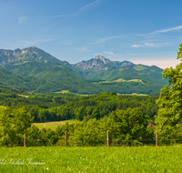 fileadmin/roha/images_galerie/orte_landschaft/Siegsdorf/SIE-REICHH-0005-D-roha-Siegsdorf-Reichhausen-Hochfelln-Hochgern-Chiemgauer-Berge.png