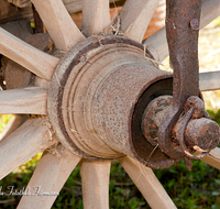 fileadmin/roha/images_galerie/arbeit_technik/TECHN-RAD-0001-D-roha-Holz-Rad-Speiche-Nabe-eisenbereift-Hof-Kirchanschoering-Dampfdreschen.png