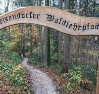 fileadmin/roha/images_galerie/orte_landschaft/Teisendorf/Geo-Park-Lehrpfad/WEGE-TEIS-VERS-0001-02-D-roha-Weg-Teisendorf-Verschoenerungsweg-Wald.png