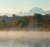 fileadmin/roha/images_galerie/orte_landschaft/Abtsdorf-Abtsdorfer-See/ABTS-SEE-STIM-0009-D-roha-Abtsdorfer-See-Ufer-Herbst-Stimmung-Watzmann-Lattengebirge.png