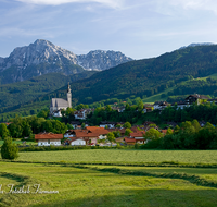 fileadmin/roha/images_galerie/orte_landschaft/Anger/Anger/AN-0023-D-roha-Anger-Landwirtschaft-Hochstaufen-Zwiesel.png