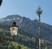 fileadmin/roha/images_galerie/brauchtum/Maibaum/Reichenhall-Marzoll-Schoenram/BR-MAIB-BAD-REI-FL-0002-D-roha-Maibaum-Bad-Reichenhall-Florianiplatz.png