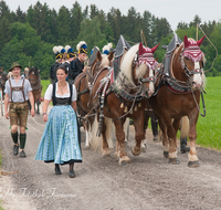 fileadmin/roha/images_galerie/brauchtum/Leonhardiritt/Holzhausen_01/Kaltblutfest/BR-PFRI-HOLZ-KALTBL-2015-1129-15-D-roha-Brauchtum-Kaltblut-Pferd-Holzhausen-Teisendorf-Knappen-Musik-Kapelle-Neukirchen.png