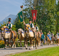 fileadmin/roha/images_galerie/brauchtum/Leonhardiritt/Inzell/BR-PFRI-INZ-0004-D-roha-Brauchtum-Pferdeumritt-Inzell-Michaeliritt-Pferd-Reiter.png