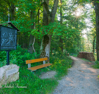 fileadmin/roha/images_galerie/kirche_religion/Ainring-Kreuzweg/KKKM-AINR-KR-07-0048-10-D-roha-Kreuzweg-Ainring-Ulrichshoegl-Waldrand-Bank.png