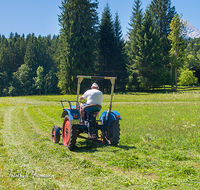 fileadmin/roha/images_galerie/Landwirtschaft/LANDW-MASCH-MAEH-BGD-0013-D-roha-Landwirtschaft-Berchtesgaden-Bischofswiesen-Traktor-Maehen.png