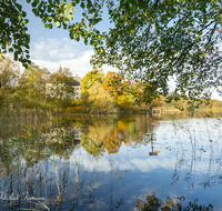 fileadmin/roha/images_galerie/orte_landschaft/Petting/PE-SEEH-SCHL-0001-15-D-roha-Petting-Schloss-Seehaus-Weitsee-Herbst.png