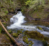 fileadmin/roha/images_galerie/orte_landschaft/Berchtesgaden/Ramsau/WAS-WILDB-RA-SCHW-LO-0004-D-roha-Wasser-Wildbach-Schwarzbachloch-Ramsau..png