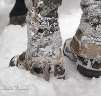 fileadmin/roha/images_galerie/Landwirtschaft/Forst-Holzknecht/HOLZKNE-HAM-DET-SCH-0002-D-roha-Holzknecht-Schuh-Winter-Siegsdorf-Hammer-Winterzug.png