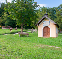 fileadmin/roha/images_galerie/kirche_religion/Anger/KKKM-ANG-AUF-JECH-0001-04-D-roha-Kapelle-Anger-Aufham-Jechling-Weg-Weide-Kuh.png