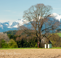 fileadmin/roha/images_galerie/kirche_religion/Traunstein-Vachendorf/KKKM-VACH-0006-D-roha-Wegkreuz-Kapelle-Vachendorf-Hochfelln-Hochgern-Chiemgauer-Berge-Fruehjahr.png