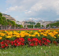 fileadmin/roha/images_galerie/orte_landschaft/Salzburg/Mirabell-Zwergerlgarten/SA-MIRA-GART-0015-D-roha-Salzburg-Mirabell-Schloss-Garten-Figuren-Festung-Hohensalzburg.png