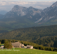 fileadmin/roha/images_galerie/orte_landschaft/Stoisser-Alm/TEI-STO-0034-D-roha-Teisendorf-Anger-Stoisser-Alm-Hochstaufen-Zwiesel.png