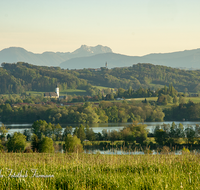 fileadmin/roha/images_galerie/orte_landschaft/Waging/WAG-SEE-0030-01-D-roha-Waginger-Tachinger-See-Taching-Waging-Wonneberg-St-Leonhard.png