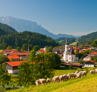 fileadmin/roha/images_galerie/orte_landschaft/Aschau/ASCHAU-SACHR-0003-D-roha-Aschau-Sachrang-Kirche-Zwiebelturm-Schafe-Herde.png