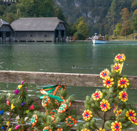 fileadmin/roha/images_galerie/brauchtum/Almabtrieb/Almabtrieb-Koenigssee/BR-ALMAB-BGD-2015-1009-01-D-roha-Brauchtum-Almabtrieb-Berchtesgaden-Koenigssee-Schoenau-Fuikl.png