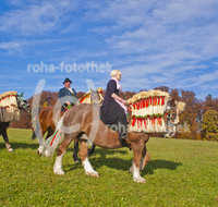 fileadmin/roha/images_galerie/brauchtum/Leonhardiritt/St_Leonhard-Wonneberg/BR-PFRI-WONNE-0037-D-roha-Brauchtum-Pferdeumritt-Wonneberg-St-Leonhard-Fahne-Pferd-Reiterin-Reiter.jpg