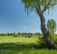 fileadmin/roha/images_galerie/orte_landschaft/Saaldorf/HAARM-0003-02-D-roha-Haarmoos-Abtsdorf-Baum.png