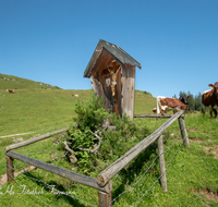 fileadmin/roha/images_galerie/kirche_religion/Berchtesgaden/KKKM-BGD-BUECHS-0002-D-roha-Gipfelkreuz-Berchtesgaden-Buechsenalm-Jenner-Kuehe.png