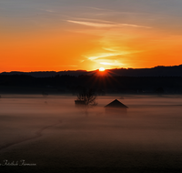 fileadmin/roha/images_galerie/stimmung-Sonne/Sonnenaufgang/SO-AU-HAARM-0030-0512-04-D-roha-Sonne-Sonnenaufgang-Haarmoos-Nebel.png