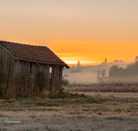 fileadmin/roha/Interessantes-in-Kurzform/SO-AU-HAARM-0031-0736-D-roha-Sonne-Sonnenaufgang-Haarmoos-Nebel-Stadel-Abtsdorf.png