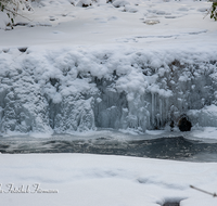 fileadmin/roha/images_galerie/Winter/WINT-EIS-ACHT-0009-D-roha-Winter-Schnee-Eis-Achthal-Ache-Wasser.png