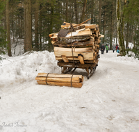 fileadmin/roha/images_galerie/Landwirtschaft/Forst-Holzknecht/HOLZKNE-HAM-2019-1419-02-D-roha-Holzknecht-Schlitten-Winter-Siegsdorf-Hammer-Winterzug.png