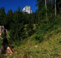 fileadmin/roha/images_galerie/orte_landschaft/Ruhpolding/RUH-HOERNDL-0011-D-roha-Ruhpolding-Hoerndlwand.png