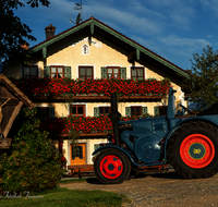 fileadmin/roha/images_galerie/arbeit_technik/TECHN-OLDT-LANZ-OED-0001-D-roha-Bulldog-Lanz-Oldtimer-Oed.png