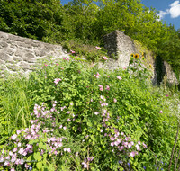 fileadmin/roha/images_galerie/orte_landschaft/Bad_Reichenhall/BAD-REI-PULV-0007-D-roha-Bad-Reichenhall-Pulverturm-Stadtmauer-Blumenwiese.png