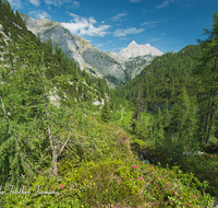 fileadmin/roha/images_galerie/orte_landschaft/Berchtesgaden/Nationalpark_Klausbachtal_Wimbachtal_-Klamm/BGD-NAT-FUNT-WATZ-0011-D-roha-Berchtesgaden-Nationalpark-Steinernes-Meer-Watzmann.png