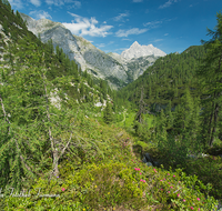 fileadmin/roha/images_galerie/orte_landschaft/Berchtesgaden/Nationalpark_Klausbachtal_Wimbachtal_-Klamm/BGD-NAT-FUNT-WATZ-0011-D-roha-Berchtesgaden-Nationalpark-Steinernes-Meer-Watzmann.png