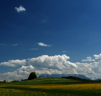 fileadmin/roha/images_galerie/orte_landschaft/Haarmoos/HAARM-0056-D-roha-Haarmoos-Fruehling.png