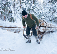 fileadmin/roha/images_galerie/Landwirtschaft/Forst-Holzknecht/HOLZKNE-HAM-0015-1357-01-D-roha-Holzknecht-Schlitten-Winter-Siegsdorf-Hammer-Winterzug.png