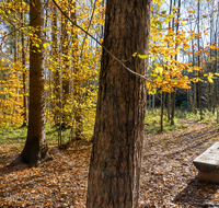 fileadmin/roha/images_galerie/Zaun-Bank/LAUF-OSI-WA-0001-1054-D-roha-Laufen-Osinger-Wald-Lehrpfad.png