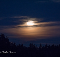 fileadmin/roha/images_galerie/stimmung-Sonne/MOND-VOLL-0002-06-D-roha-Vollmond-Mond-Nachthimmel-Wald.png