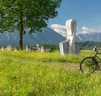 fileadmin/roha/images_galerie/orte_landschaft/Salzburg/Gaisberg-Flughafen-Wals/SA-WALS-BIRN-RA-0006-D-roha-Salzburg-Wals-Birnbaum-Rad.png