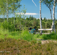 fileadmin/roha/images_galerie/orte_landschaft/Petting/Schoenramer-Moor/SPO-E-BIKE-PET-SCH-MOR-0027-D-roha-Sport-E-Bike-Petting-Schoenramer-Moor-Weg.png