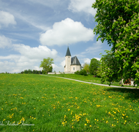 fileadmin/roha/images_galerie/orte_landschaft/Tittmoning/TITTM-MEGG-0002-D-roha-Tittmoning-Meggenthal-Kirche-Blumenwiese-Kastanienbaum.png