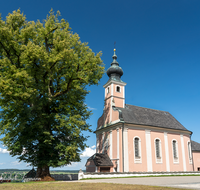 fileadmin/roha/images_galerie/orte_landschaft/Waging/WAG-MUEHLB-0031-D-roha-Waging-Muehlberg-Kirche-Linde-Baum.png