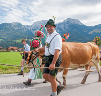 fileadmin/roha/images_galerie/brauchtum/Almabtrieb/Almabtrieb-Koenigssee/BR-ALMAB-BGD-2015-1219-1231-02-D-roha-Brauchtum-Almabtrieb-Koenigssee-Salet-Schoenau-Fuikl-Kuh-Glocke-Sennerin.png