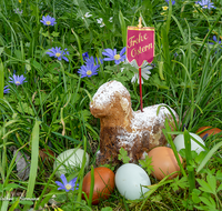 fileadmin/roha/images_galerie/brauchtum/Ostern/BR-OST-LAMM-EI-0001-D-roha-Brauchtum-Ostern-Osterlamm-Eier-Blumenwiese.png