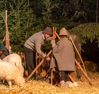 fileadmin/roha/images_galerie/orte_landschaft/Bad_Reichenhall_-_Stallweihnacht/BR-WEIH-STALL-2019-2028-04-D-roha-Brauchtum-Weihnachten-Krippe-Stall-Weihnacht-Bad-Reichenhall-Hirten.png