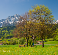 fileadmin/roha/images_galerie/orte_landschaft/Anger/Anger/Anger-Landschaft/LANDS-ANG-AUFH-0008-D-roha-Landschaft-Anger-Aufham-Hochstaufen-Zwiesel-Mitterweg-Wegkreuz-Blumenwiese.png