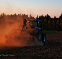 fileadmin/roha/images_galerie/Landwirtschaft/LANDW-MASCH-MAIS-0011-1-D-roha-Landwirtschaft-Maschinen-Arbeit-Mais-saehen.png