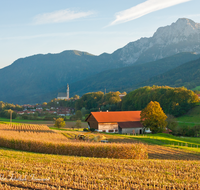 fileadmin/roha/images_galerie/Landwirtschaft/LANDW-MASCH-MAIS-AN-0011-D-roha-Landwirtschaft-Maschine-Mais-Ernte-Anger-Hochstaufen.png