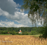 fileadmin/roha/images_galerie/orte_landschaft/Laufen/LAUF-NIEDERH-0003-D-roha-Laufen-Niederheining-Laufener-Landweizen-Getreide.png