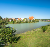 fileadmin/roha/images_galerie/orte_landschaft/Laufen/LAUF-SALZACH-0001-01-D-roha-Laufen-Salzach-Stiftskirche.png