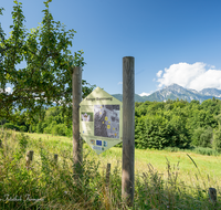 fileadmin/roha/images_galerie/orte_landschaft/Piding/PID-JOH-BIEN-0009-D-roha-Piding-Johannishoegl-Hochstaufen-Zwiesel-Bienenweg.png