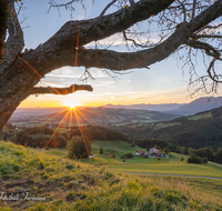 fileadmin/roha/images_galerie/stimmung-Sonne/Sonnenaufgang/SO-AU-ANG-STOISSB-0001-0624-02-D-roha-Sonnenaufgang-Anger-Stoissberg-Neuhaus-Baum.png